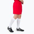 Pantaloni scurți de antrenament Joma Treviso pentru bărbați, roșu 100822.600 2