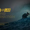 DUOTONE zmeu kitesurfing zmeu Neo D/Lab 2023 gri 44230-3024 6