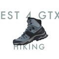 Cizme de trekking pentru femei Salomon Quest 4 GTX magnet/negru/soare 20