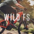 Bicicleta electrică Orbea Wild FS H10 argint M34718WB 14