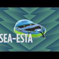 JOBE Sea-esta Towable 3P albastru 230320010 12