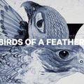 Snowboard pentru femei CAPiTA Birds Of A Feather 1221108 5