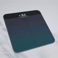 Amazfit Smart Scale-Aurora negru D2003EU1N 10