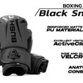 Mănuși de box DBX BUSHIDO 'Raptor' negru 12