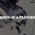 Snowboard CAPiTA Birds of A Feather Wide, alb, 1211120 5