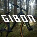 Kellys Gibon 10 29  biciclete de munte albastru 16