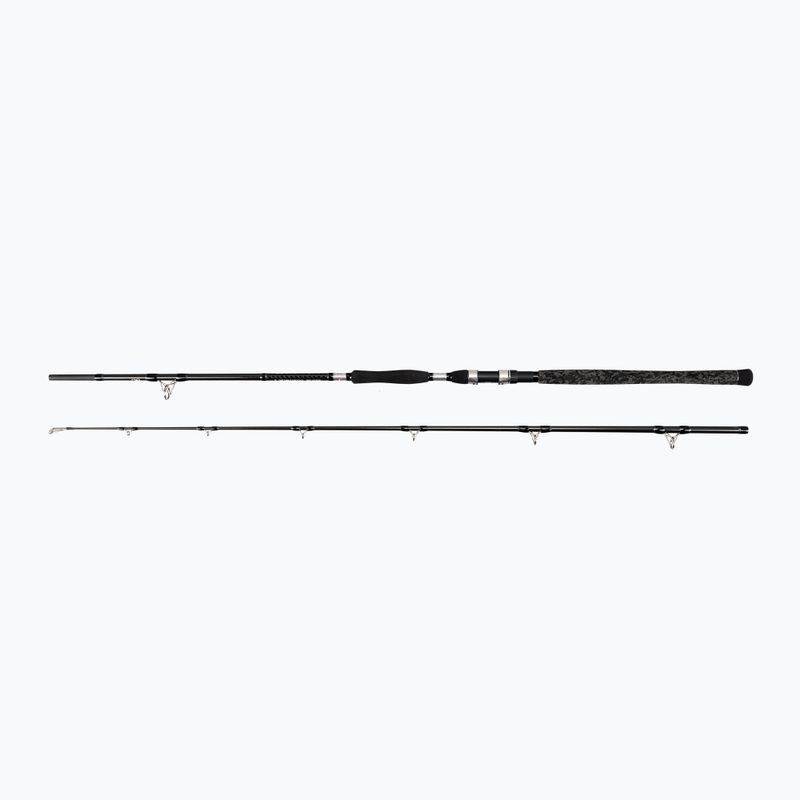 Penn Legion Cat Silver Power AR 2 Sec Catfish Rod negru 1519190