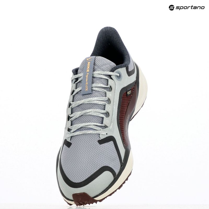 Nike Pegasus 41 GTX pantofi de alergare pentru bărbați light pumice/ burgundy crush/ dark smoke grey/ ashen slate 9
