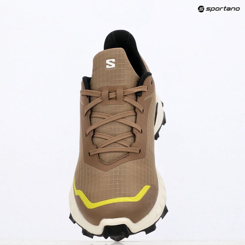 Pantofi de alergare pentru bărbați Salomon Alphacross 5 caribou/canteen/ sulphr 18