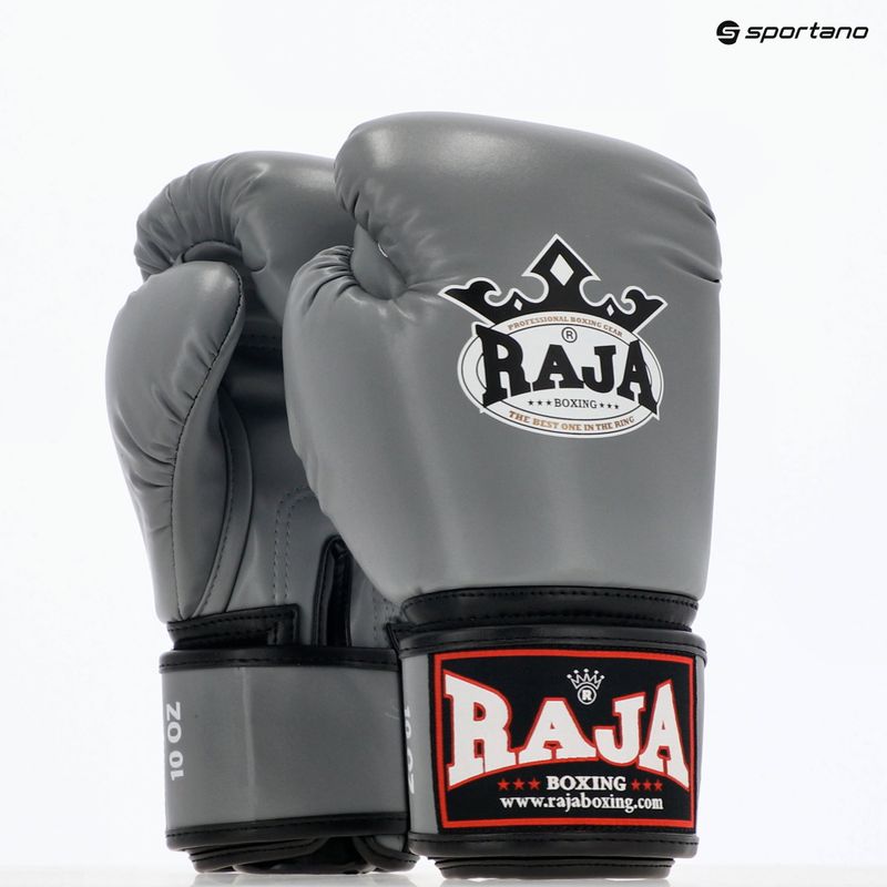 Mănuși de box RAJA BOXING Single Semi Leather grey 8
