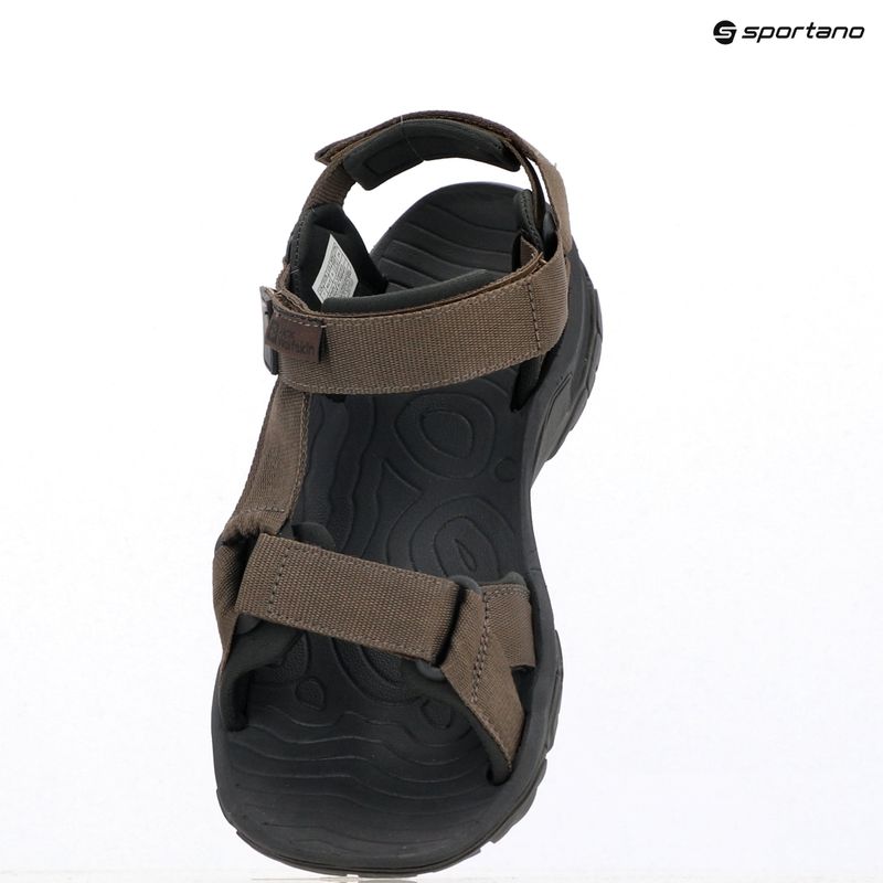 Sandale pentru bărbați Jack Wolfskin Lakewood Ride cold coffee 12