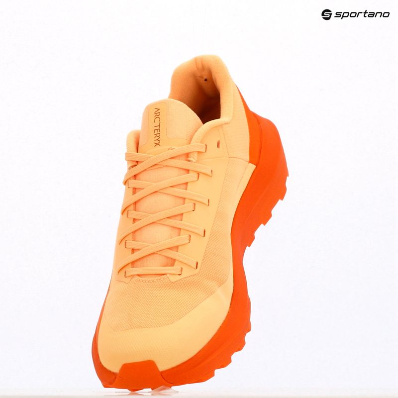 Încălțăminte de alergare pentru femei Arc'teryx Norvan LD 4 luminary / verve 11