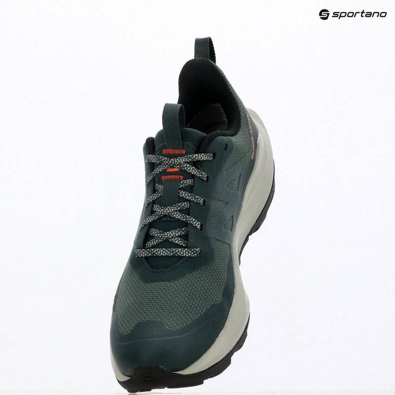 Încălțăminte de drumeție pentru bărbați Salomon Elixir Activ GTX scarab/green gable 10