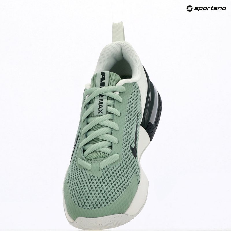Încălțăminte de antrenament pentru bărbați Nike Air Max Alpha Trainer 6 steam/spruce aura/off white/black spruce 13