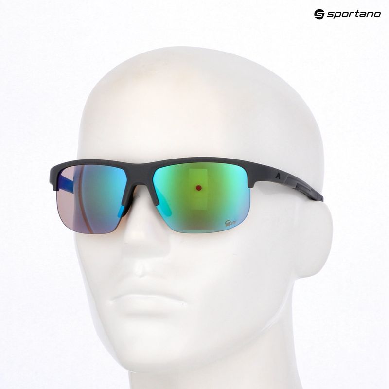 Ochelari de soare Alpina Eagle Q-Lite midnight/grey matt/green 7