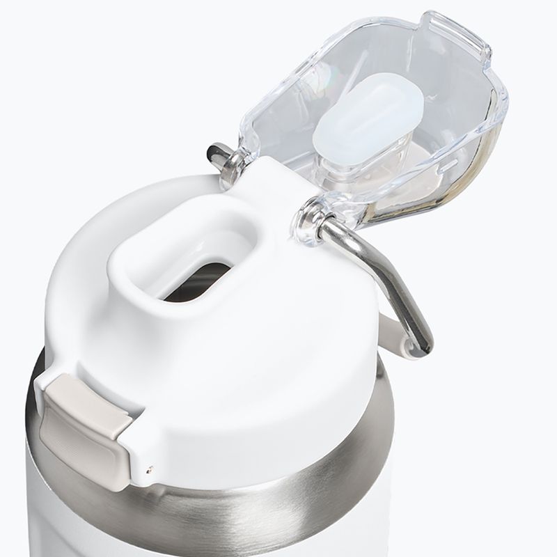 Sticlă termică Stanley Classic Wellspring frost 3
