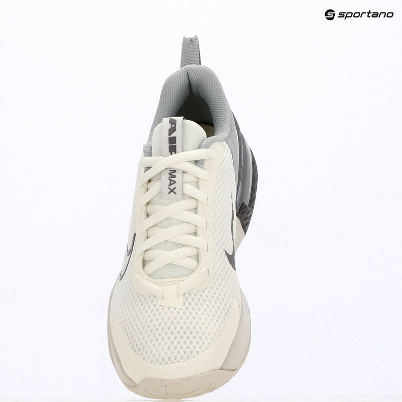 Încălțăminte de antrenament pentru bărbați Nike Air Max Alpha Trainer 6 sail/light smoke grey/phantom/pencil point 5