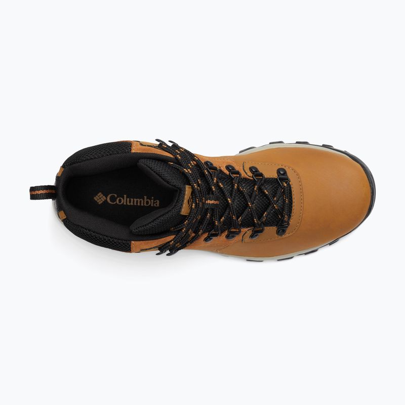 Încălțăminte de trekking pentru bărbați Columbia Newton Ridge Plus II Wp elk/black 15