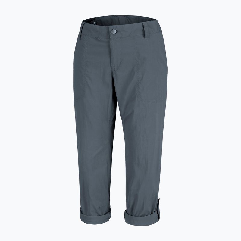 Pantaloni de trekking pentru femei Columbia Silver Ridge 2.0 gri 1842133 10