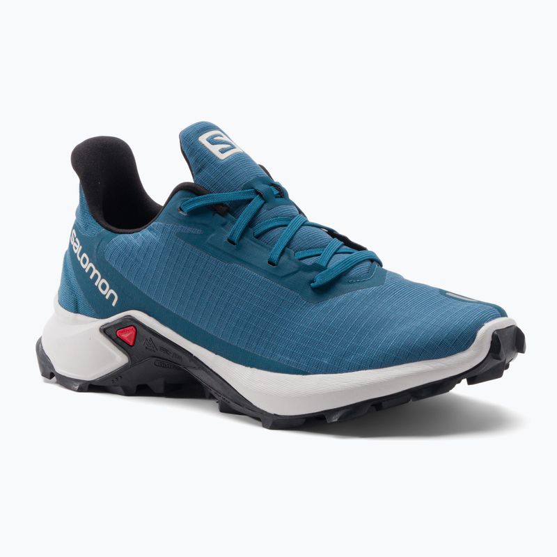 Cizme de trekking pentru bărbați Salomon Alphacross 3 albastru L41599700