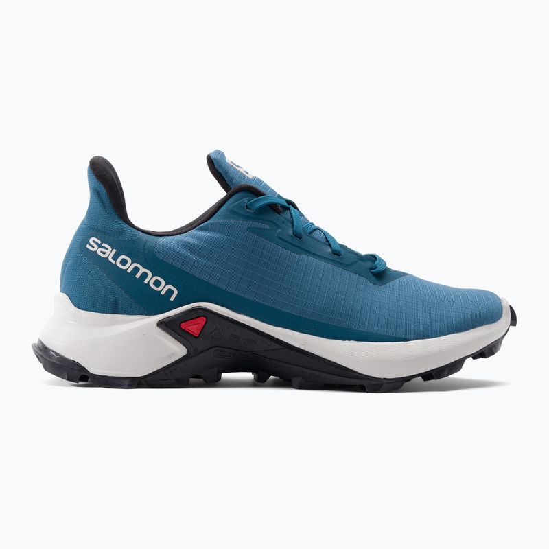 Cizme de trekking pentru bărbați Salomon Alphacross 3 albastru L41599700 2
