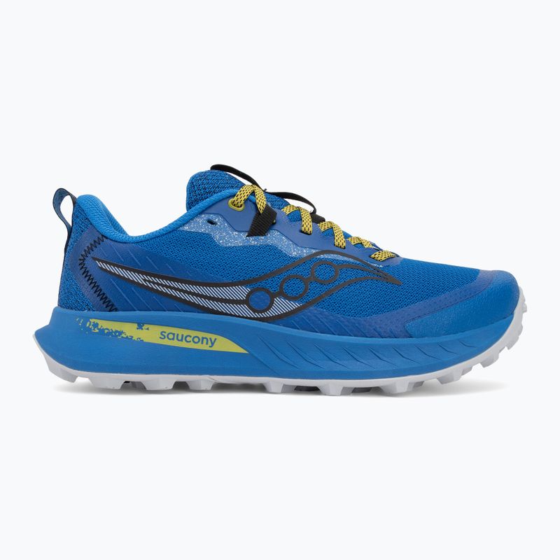 Încălțăminte de alergare pentru bărbați Saucony Peregine 15 skydiver / picle 2