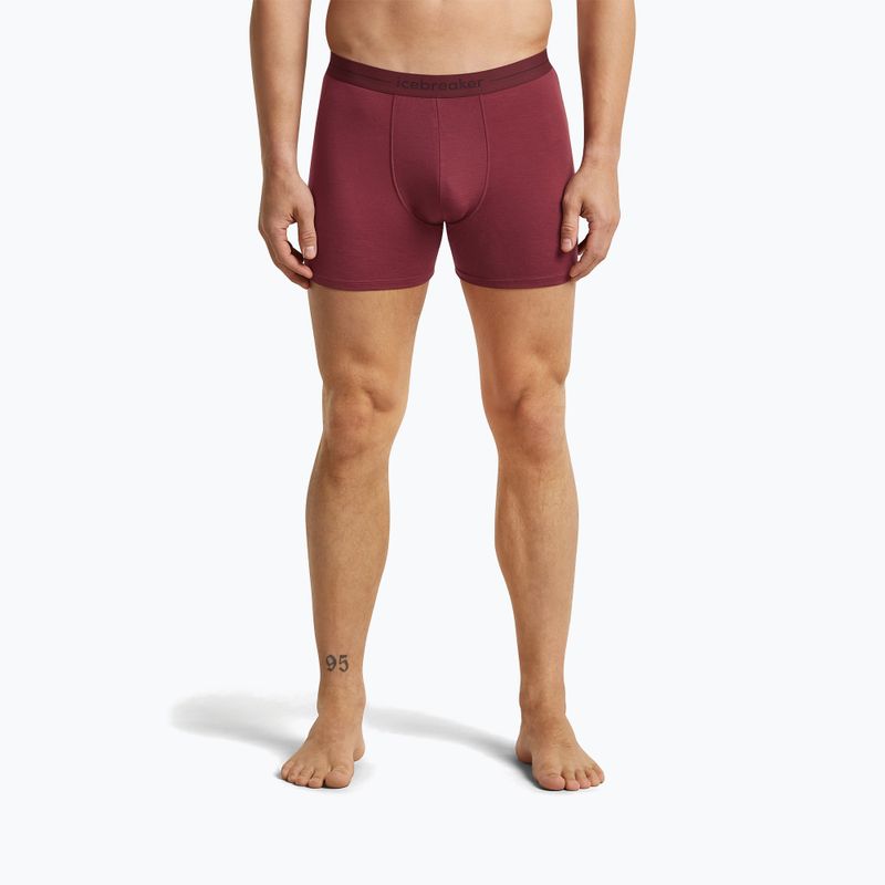 Boxeri termoactivi pentru bărbați icebreaker Anatomica Boxers port 2