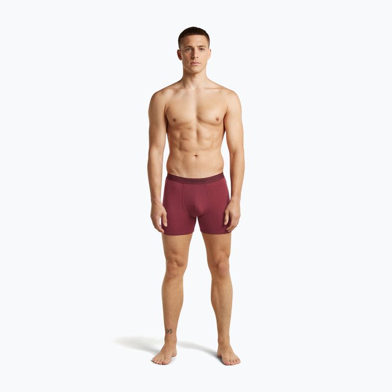 Boxeri termoactivi pentru bărbați icebreaker Anatomica Boxers port 3