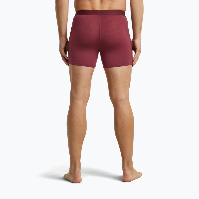 Boxeri termoactivi pentru bărbați icebreaker Anatomica Boxers port 4