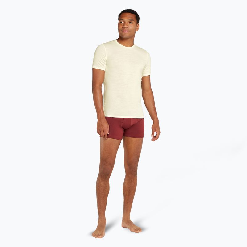 Tricou de trekking pentru bărbați  icebreaker Anatomica Crewe undyed 2