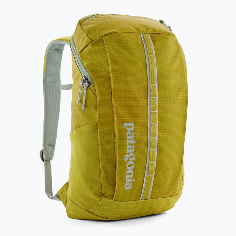 Rucsac turistic Patagonia Black Hole Pack 25 l shrub green 2
