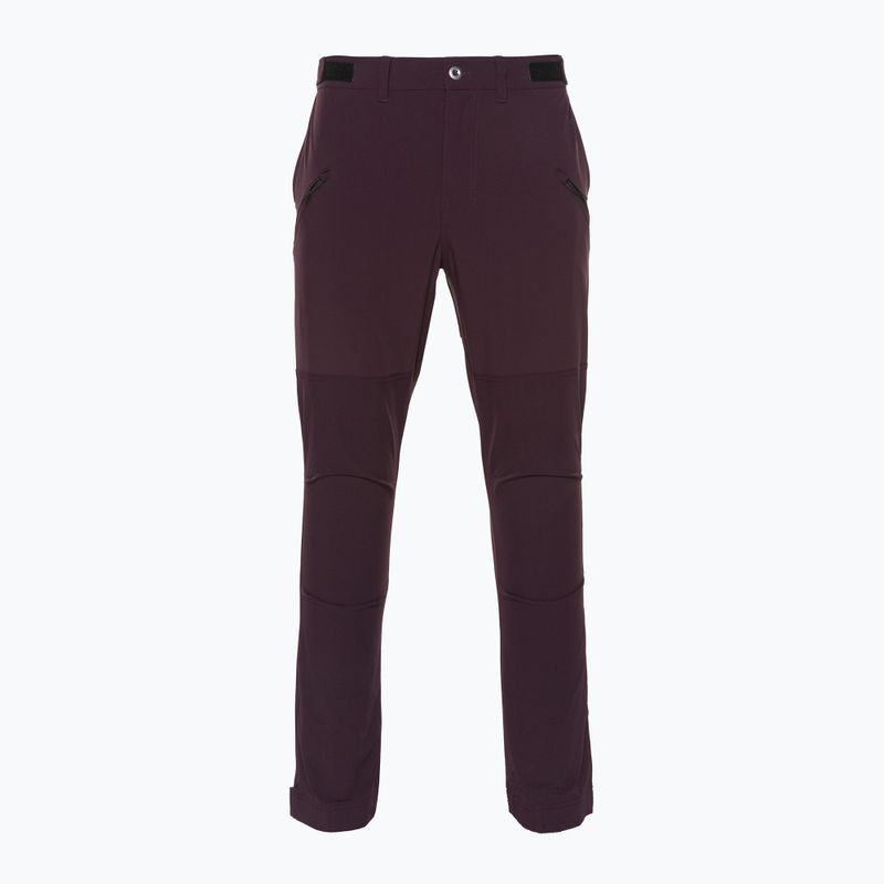 Pantaloni de trekking pentru bărbați Patagonia Point Peak Trail-Regular obsidian plum