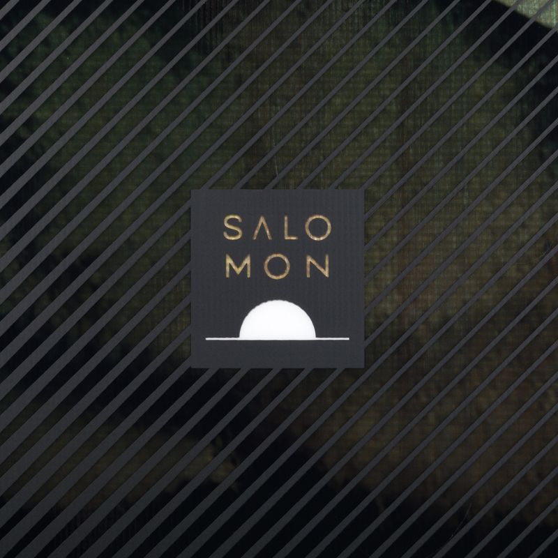 Snowboard pentru bărbați Salomon Pulse negru L47031600 5