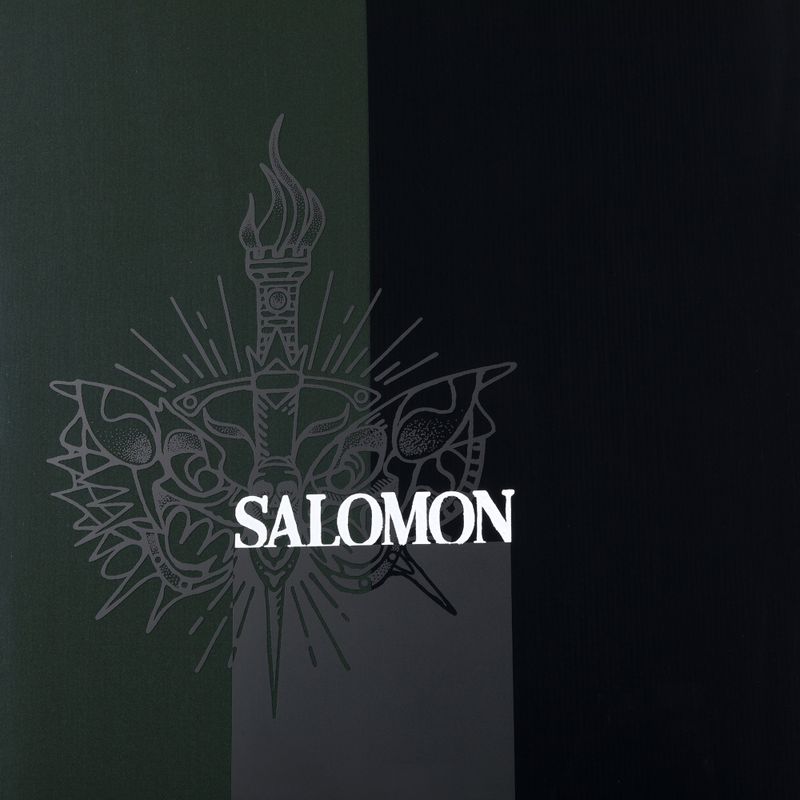 Snowboard pentru bărbați Salomon Assassin PRO negru L47017200 6