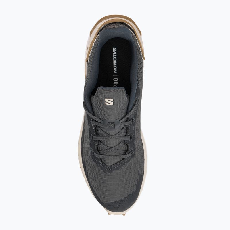 Pantofi de trail pentru bărbați Salomon Alphacross 4 gri L41724100 6