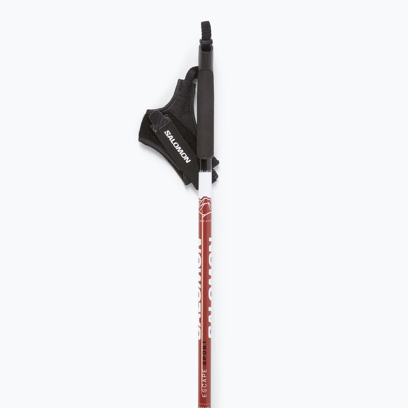 Bețe de schi fond Salomon Escape Sport 4