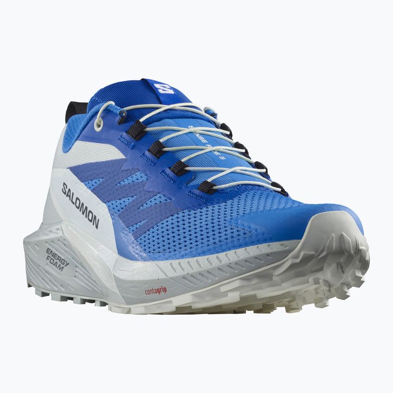 Pantofi de alergare pentru bărbați Salomon Sense Ride 5 ibiza blue/lapis/blue/white