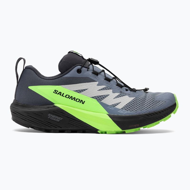 Încălăminte de alergat pentru bărbați Salomon Sense Ride 5 GTX flint stone/black/green gecko 2