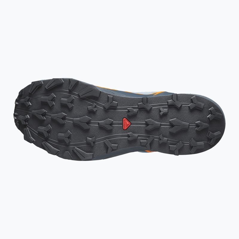 Pantofi de alergare pentru bărbați Salomon Thundercross GTX flint stone/carbon/orange pepper 3