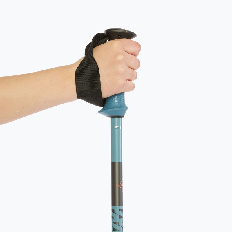 Bețe de schi Salomon Polar Pro copen blue 6