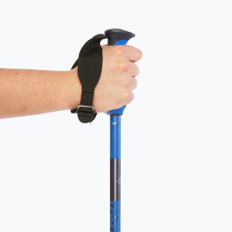 Bețe de schi Salomon Polar Pro race blue 7
