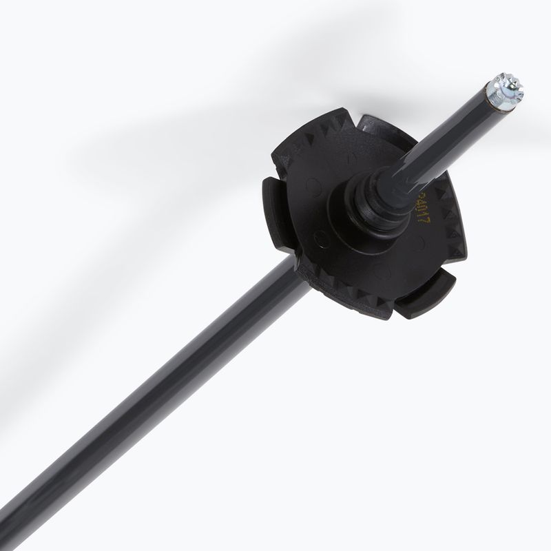 Bețe de schi Salomon Polar Access black 5