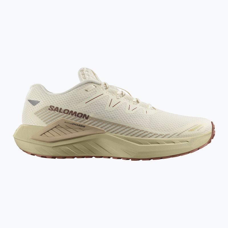 Încălțăminte de alergare pentru bărbați Salomon Thundercross asphalt/sharkskin/spray 8
