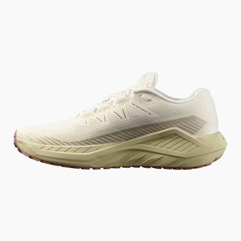 Încălțăminte de alergare pentru bărbați Salomon Thundercross asphalt/sharkskin/spray 9
