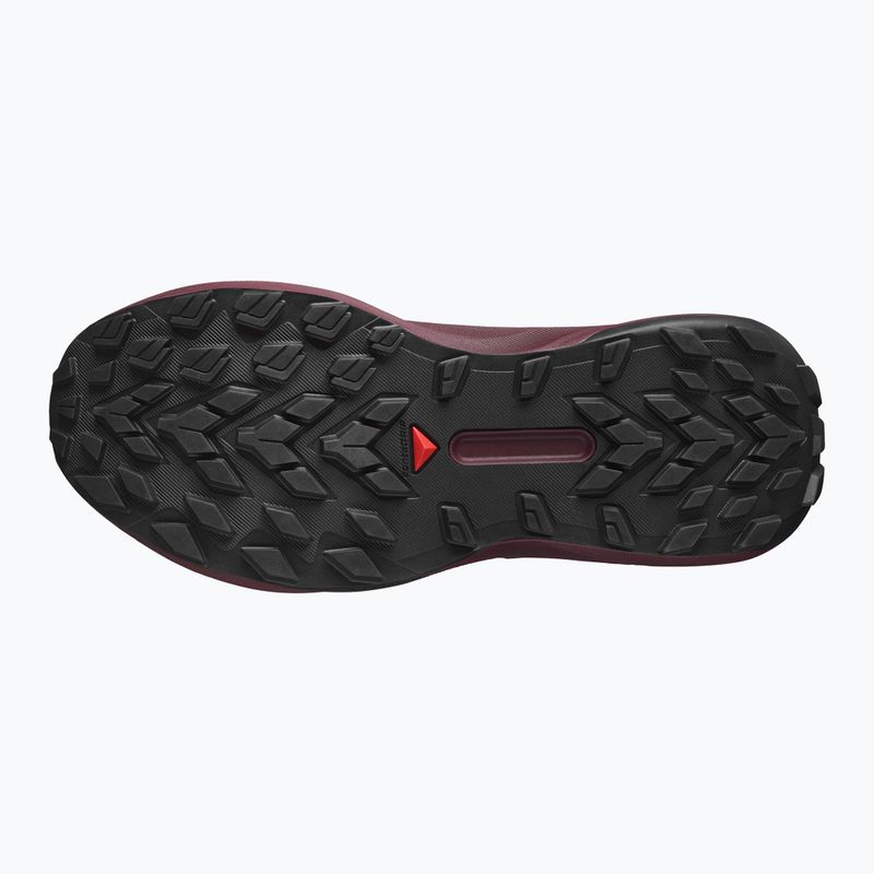 Încălțăminte de alergare pentru femei Salomon Genesis GTX rose taupe/black orchid/bouquet 12