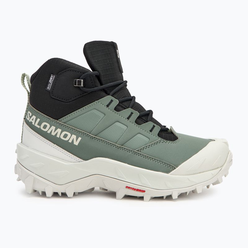 Încălțăminte de trekking pentru femei Salomon Crosstrak WP agave green/black/can ary green 2