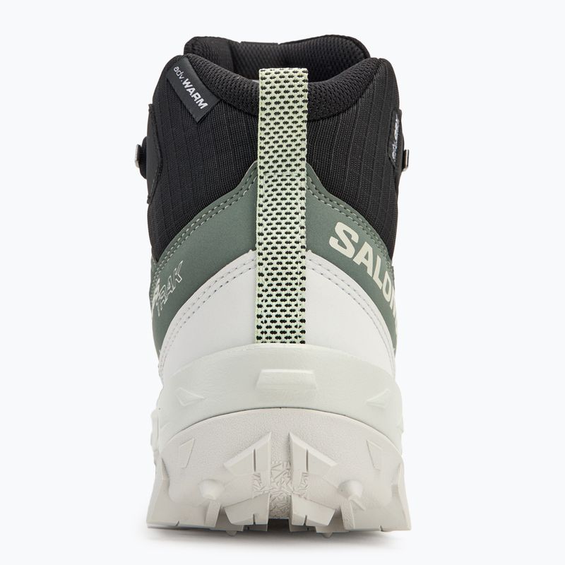 Încălțăminte de trekking pentru femei Salomon Crosstrak WP agave green/black/can ary green 6