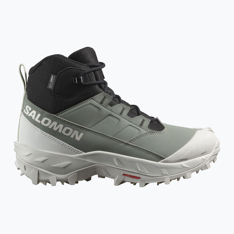 Încălțăminte de trekking pentru femei Salomon Crosstrak WP agave green/black/can ary green 9