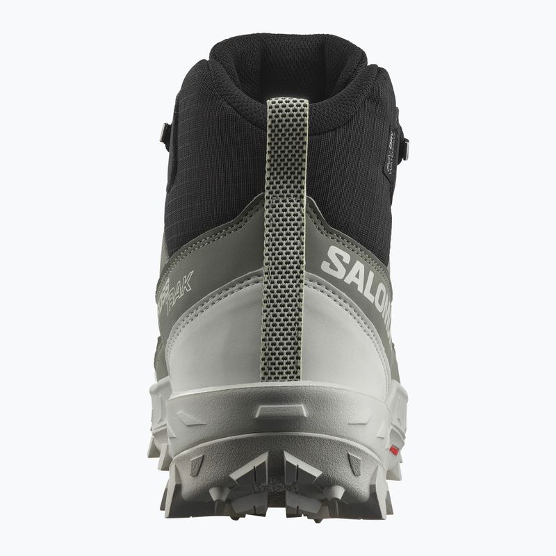 Încălțăminte de trekking pentru femei Salomon Crosstrak WP agave green/black/can ary green 11