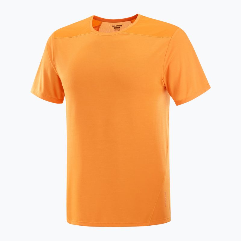 Tricou pentru bărbați  Salomon Outline Tee turmeric 4